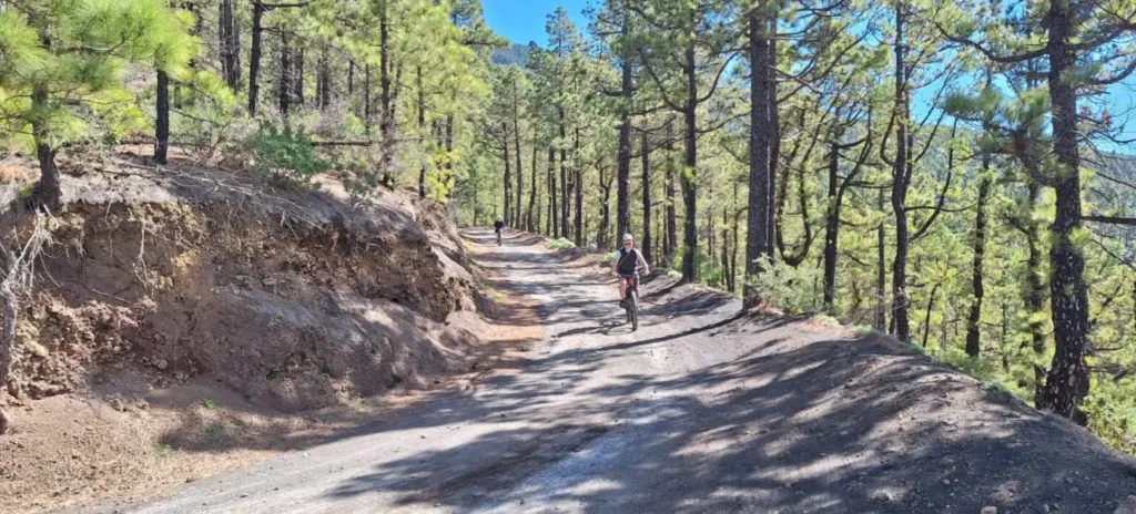 mtb en la palma