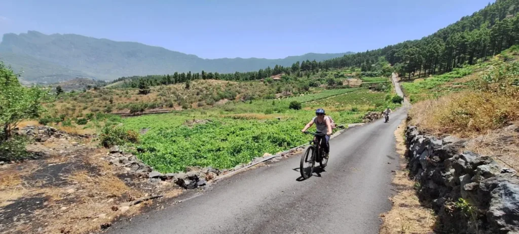 mtb en la palma