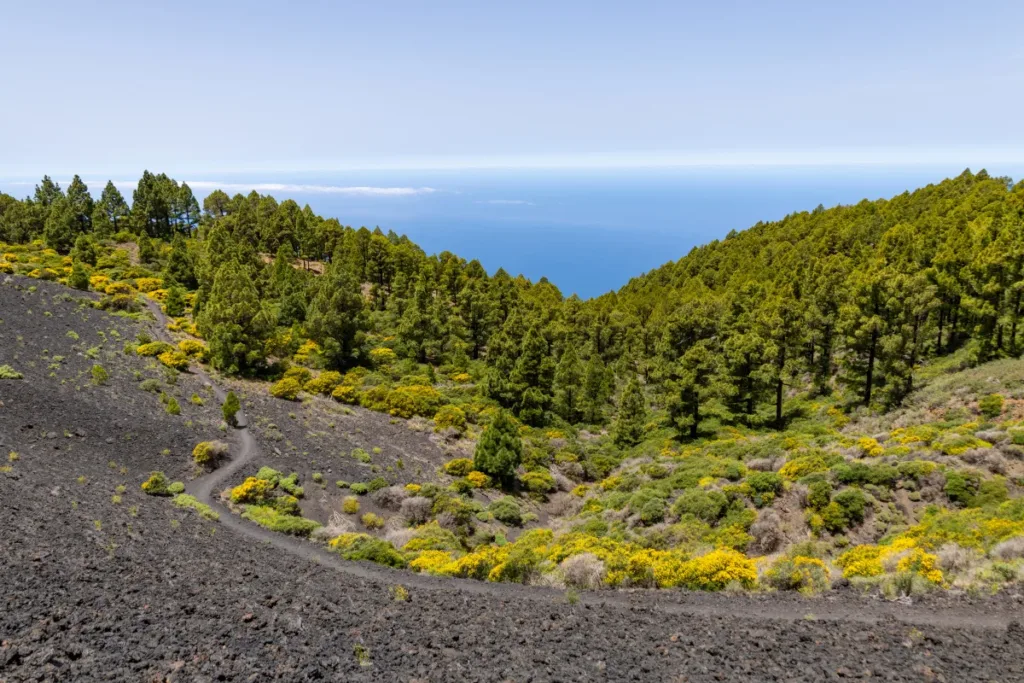 ruta de los volcanes