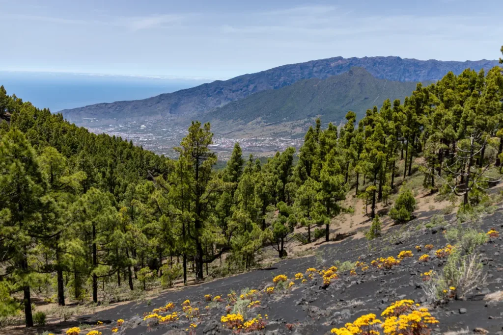 ruta de los volcanes
