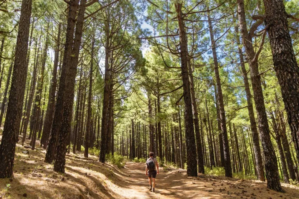 vacaciones de senderismo en La Palma